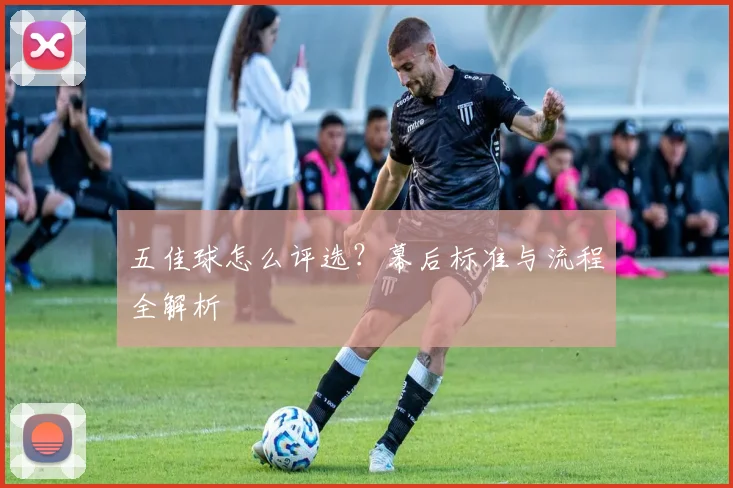 五佳球怎么评选？幕后标准与流程全解析